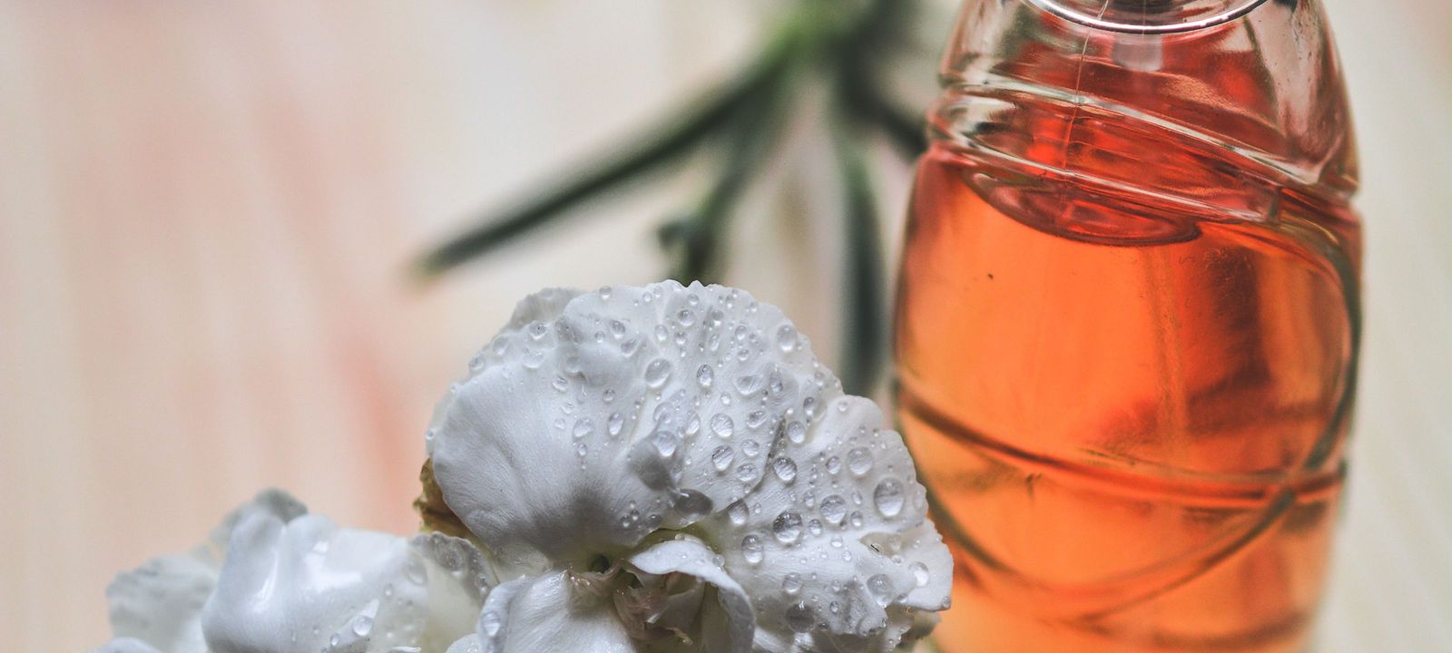 Parfumi
